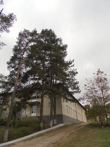 DSC03259.JPG